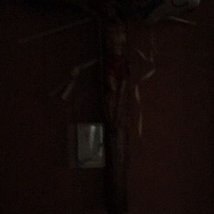 Meet your Posher, Nelson